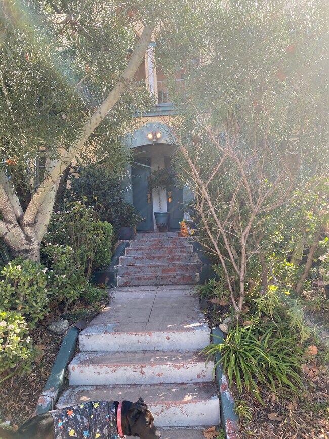 front of building - 1040 S Orange Dr