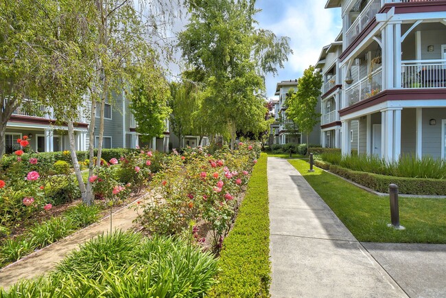 Foto del edificio - Oak View of Sonoma Hills Apartments