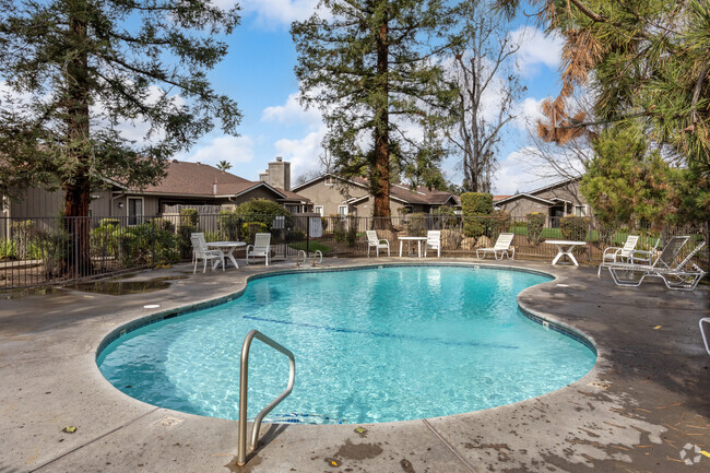 Piscina - Dry Creek Meadows Apartments