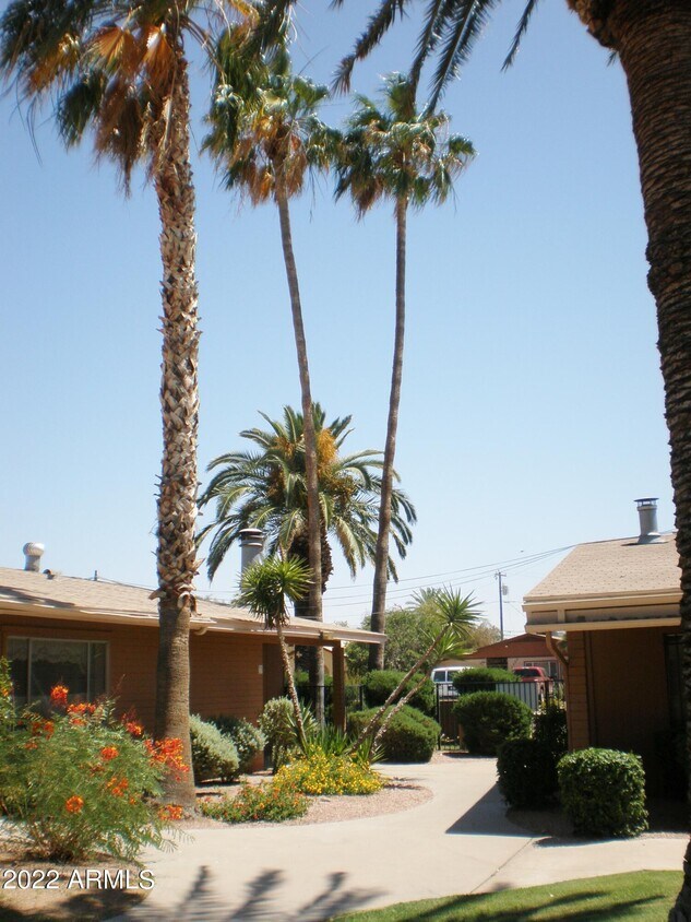 1718 E Campbell Ave Unit 35, Phoenix, AZ 85016 Apartment for Rent in