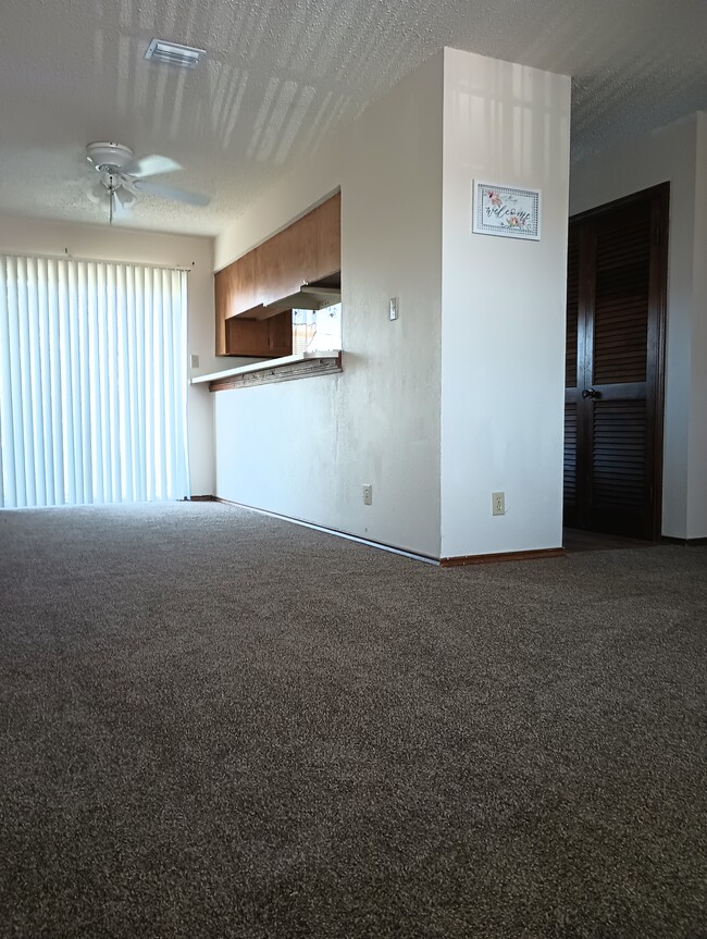 Brand new Plush Carpet, completely repainted for new home look - 2805 Quail Run St