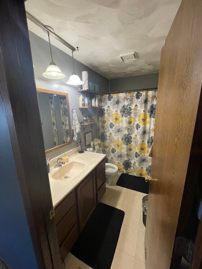Upstairs Bathroom - 741 98th Ln NE