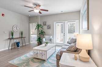 Building Photo - The Palms at Edgewater