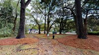 Located at 1830 Magwood Road in Charleston, South Carolina, this single-level outdoor space offers a tranquil, nature-rich environment defined by its striking canopy of mature live oak trees. The sprawling, arching branches of these grand trees create a natural overhead cover that filters light and provides generous shade throughout the area. The ground is carpeted with rich, reddish-brown mulch and natural debris characteristic of a well-established wooded setting, giving the space an organic, earthy aesthetic. Winding dirt pathways meander through the landscape, inviting visitors to explore the grounds at a leisurely pace. Thoughtfully placed amenities, including waste stations with signage, suggest the space is maintained and welcoming to guests. The surrounding environment is lush and green, with glimpses of nearby roadways and activity visible through the treeline, connecting this peaceful retreat to the broader West Ashley neighborhood of Charleston. The overall ambiance is calm and inviting, offering a natural respite characterized by the timeless beauty of South Carolina's iconic live oak landscape.