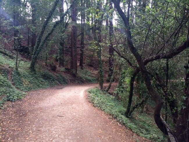 Nearby trails "enchanted trail" in De La Veaga Park - 110 Goss Ave