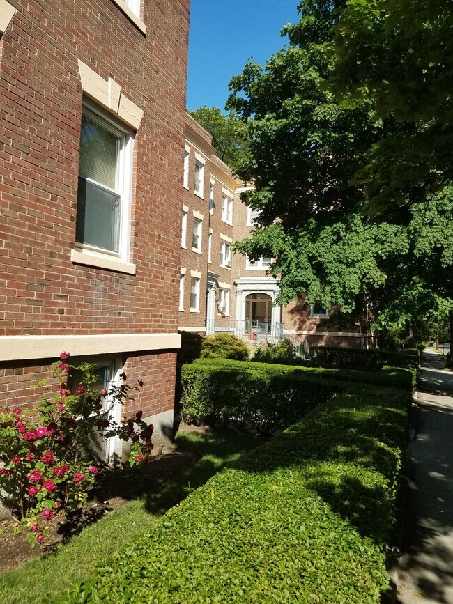 Foto del edificio - 51 Manchester Rd