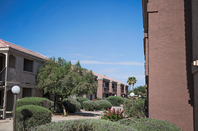 Community Grounds - Palm Terrace Apartments