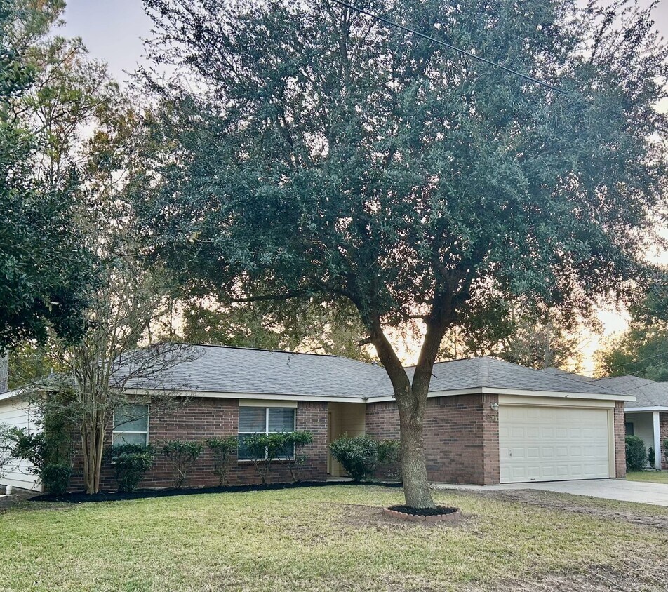 Primary Photo - 16306 Many Trees Ln