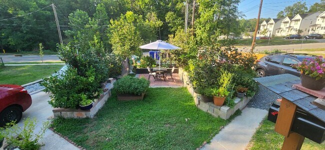 jardín delantero - 705 W Markham Ave