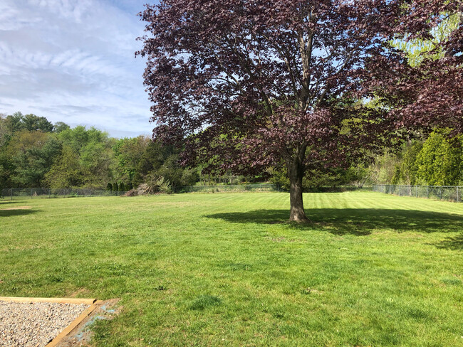 Common Area Fenced Backyard - 6 Brookings Dr