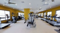 This fitness center is designed to support a comprehensive workout experience within a single-level layout. The space is defined by its bold yellow accent walls, which lend an energizing atmosphere throughout the room. Recessed lighting is distributed across the white ceiling, supplemented by a ceiling fan that aids in air circulation during workouts.

The cardio zone is well-stocked with stair climbers and treadmills, several of which are positioned along mirrored walls to enhance the sense of space and allow users to monitor their form. The mirrors run the length of one wall, effectively doubling the visual depth of the room. Strength training is supported by a multi-function cable machine at the center of the floor, along with a free weights and resistance equipment area visible toward the back of the space.

Large windows along the perimeter allow natural light to filter in, contributing to the open and airy feel of the room. The light-colored flooring is practical and easy to maintain. The equipment is branded by Life Fitness, indicating a commitment to professional-grade machinery. Overall, the space is thoughtfully organized to accommodate both cardio and strength training simultaneously.