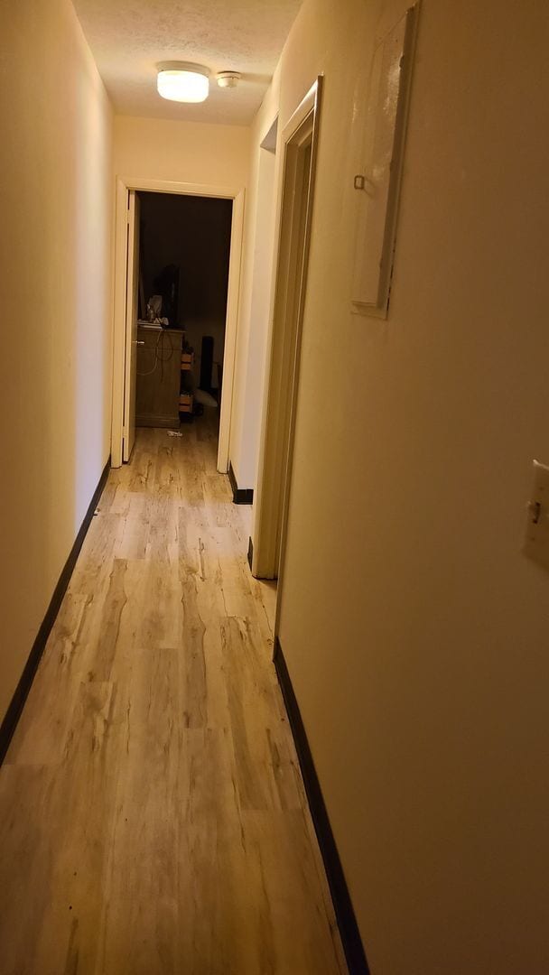 Building Photo - Burton Triplex