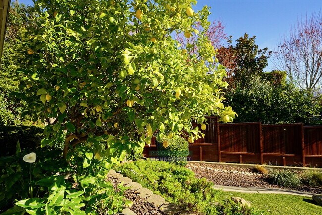 Building Photo - Brand New Charming 2-Bedroom Retreat - JUST Reduced to $3,950