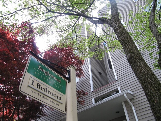 Interior Photo - Tanglewood Apartments