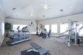 This fitness center is housed in a single-story space characterized by vaulted ceilings and warm, neutral-toned walls that create an open, welcoming environment. Recessed lighting throughout supplements the abundant natural light provided by multiple windows fitted with white blinds, ensuring the space remains bright and well-lit during workouts.

The room is finished with durable, patterned carpet throughout and features crown molding that adds a refined architectural detail. A wall-mounted flat-screen television is positioned for easy viewing from cardio equipment, enhancing the workout experience.

The cardio section is well-stocked with treadmills, elliptical trainers, upright and recumbent stationary bikes, and a rowing machine. A multi-station cable and weight machine occupies one area, catering to strength training needs. A dedicated free-weight zone includes a tiered dumbbell rack with a full range of weights, a flat utility bench, and a floor mat for stretching or floor exercises.

Full-length mirrors line one wall, visually expanding the space and assisting with form during workouts. A ballet barre is mounted along the mirrored wall, adding versatility. French doors connect the fitness center to an adjacent space, contributing to an airy, connected layout.