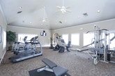 This fitness center is housed in a single-story space characterized by vaulted ceilings and warm, neutral-toned walls that create an open, welcoming environment. Recessed lighting throughout supplements the abundant natural light provided by multiple windows fitted with white blinds, ensuring the space remains bright and well-lit during workouts.

The room is finished with durable, patterned carpet throughout and features crown molding that adds a refined architectural detail. A wall-mounted flat-screen television is positioned for easy viewing from cardio equipment, enhancing the workout experience.

The cardio section is well-stocked with treadmills, elliptical trainers, upright and recumbent stationary bikes, and a rowing machine. A multi-station cable and weight machine occupies one area, catering to strength training needs. A dedicated free-weight zone includes a tiered dumbbell rack with a full range of weights, a flat utility bench, and a floor mat for stretching or floor exercises.

Full-length mirrors line one wall, visually expanding the space and assisting with form during workouts. A ballet barre is mounted along the mirrored wall, adding versatility. French doors connect the fitness center to an adjacent space, contributing to an airy, connected layout.