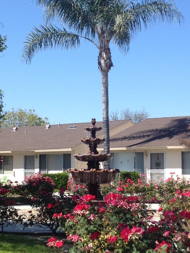 Building Photo - Catalina Gardens Senior Apartments