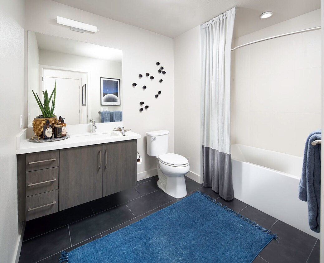 Cobalt Apartments in Culver City, CA Westside Rentals