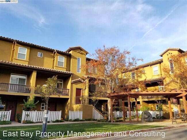 Foto del edificio - 3 br, 3 bath House - 200 San Antonio Pl.