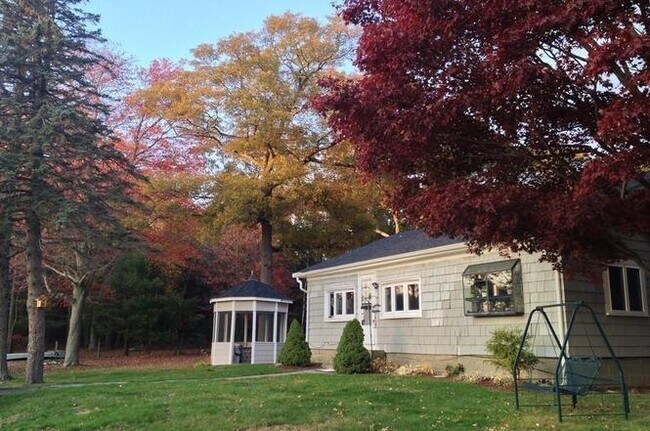 Foto del edificio - 19 Elderberry Dr