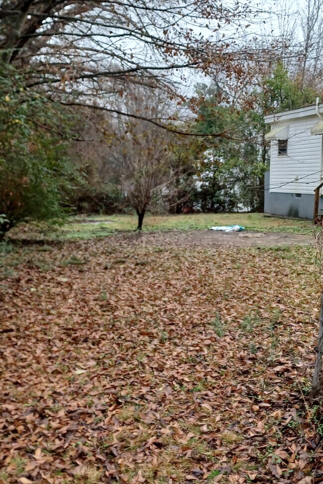 Yard - 406 Green St