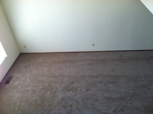 Building Photo - 1008 Bluejay Dr