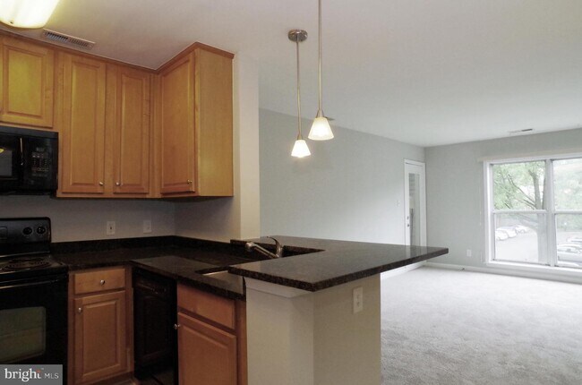 Building Photo - 10303 Appalachian Cir