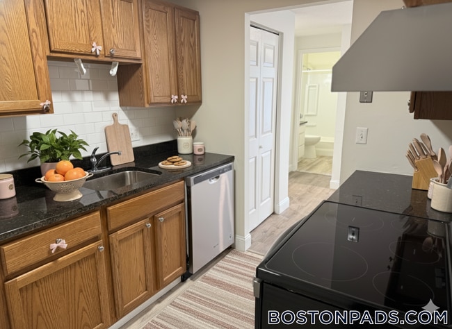 Building Photo - 47 Princeton St