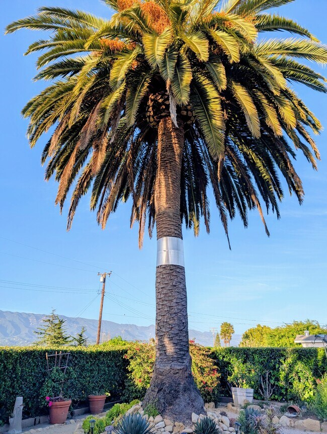 Foto del edificio - 1493 Crestline Dr