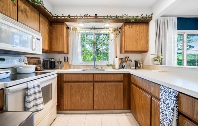 Foto del edificio - 22 Larkspur Ct