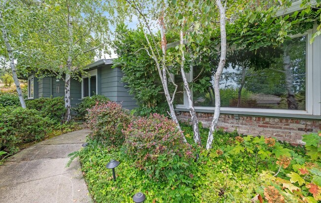Building Photo - 376 La Cuesta Dr