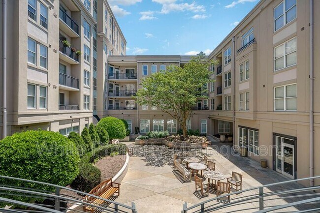 Photo - 1315 East Blvd Apartment