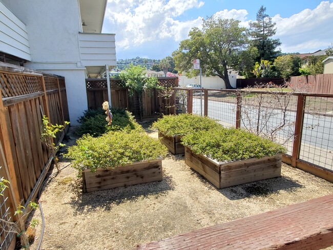 Community Garden - zLaurel Place Apartments