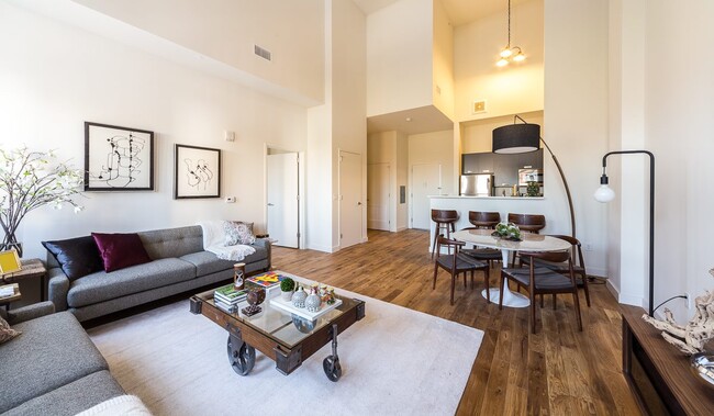 Foto del interior - Hahne and Co.
