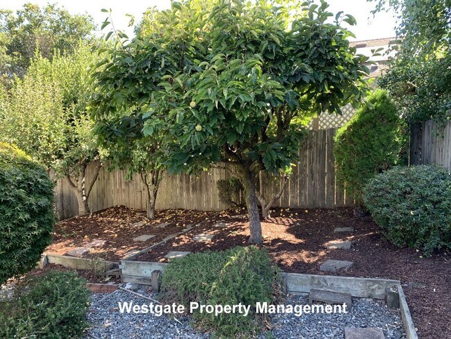 Foto del edificio - 1160 Birch Dr