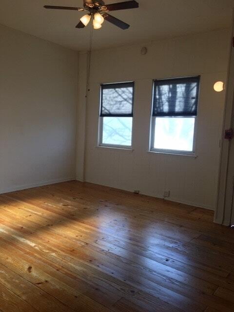 Foto del edificio - 2536 Amber St