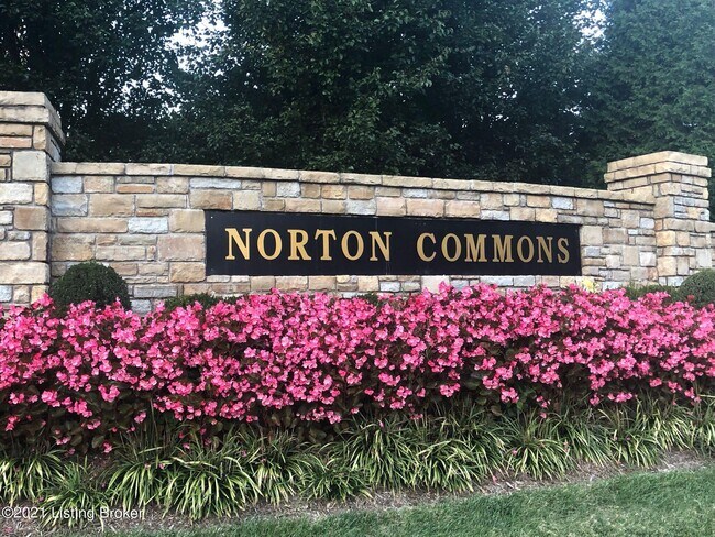 Building Photo - 9444 Norton Commons Blvd