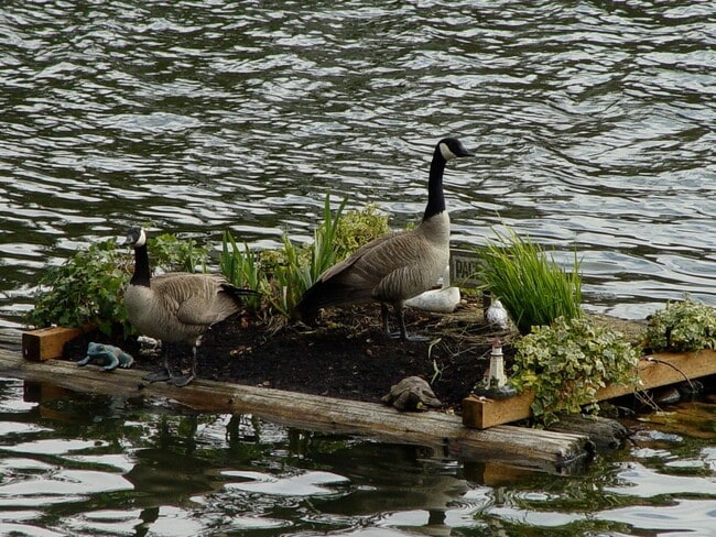 Photo - H134563B Apartment