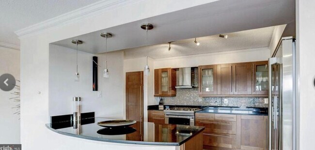 Fully renovated kitchen! Swedish appliances! - 1300 Army Navy Dr
