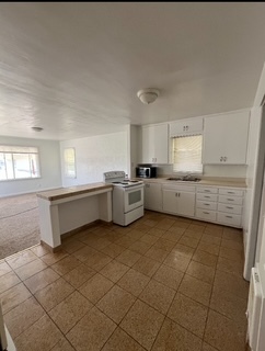 Kitchen and Breakfast bar - 320 E 15th St