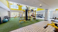 Located at 8 Norden Place in Norwalk, CT, this fitness center offers a spacious, single-floor layout designed to accommodate a wide range of workout styles and fitness goals. The facility makes an immediate impression with its soaring double-height ceilings accented by bold yellow upper walls, creating a vibrant and energizing atmosphere throughout the space.

The main workout area is divided into two distinct zones. A turf-covered functional training zone features yellow-framed multi-use strength rigs, a heavy punching bag, kettlebells, weight benches, a sled trainer, and a well-stocked dumbbell rack with a stability ball — ideal for functional and free-weight training. Adjacent to this, a carpeted cardio and machine zone houses a row of treadmills, ellipticals, stair climbers, and stationary bikes from the TRUE Fitness brand, providing comprehensive cardiovascular training options.

Large windows along multiple walls flood the facility with natural light and offer views of the surrounding greenery, enhancing the open and airy feel. Decorative patterned accent walls and pendant lighting add a polished, contemporary aesthetic. The flooring transitions between turf and herringbone-patterned carpet tiles, clearly delineating training areas. A dedicated entry vestibule with glass doors provides a clean and organized point of access. The overall design balances high functionality with a modern, welcoming ambiance.