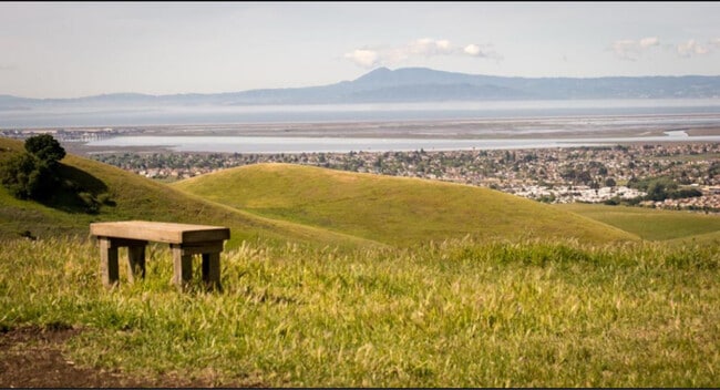 Building Photo - 231 Goldback Ct