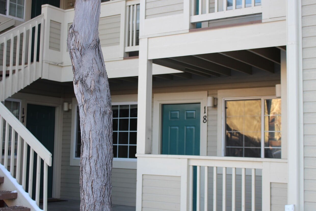 Primary Photo - Delightful 1 Bedroom Condo
