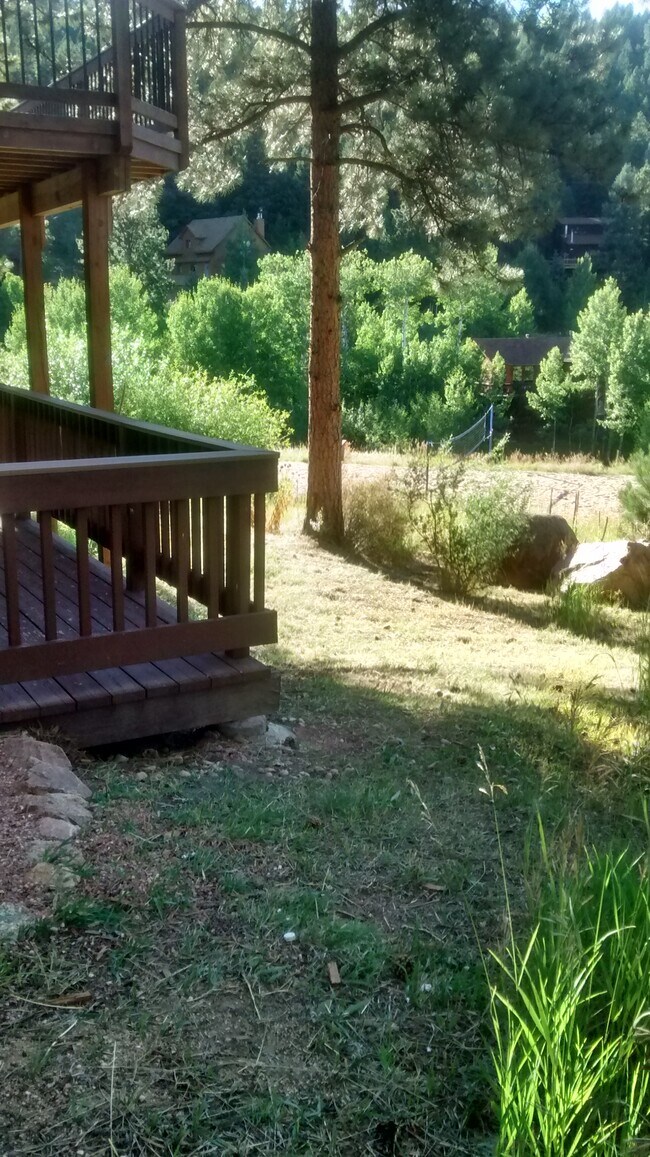 120 Wisp Creek Dr, Bailey, CO 80421 House Rental in Bailey, CO