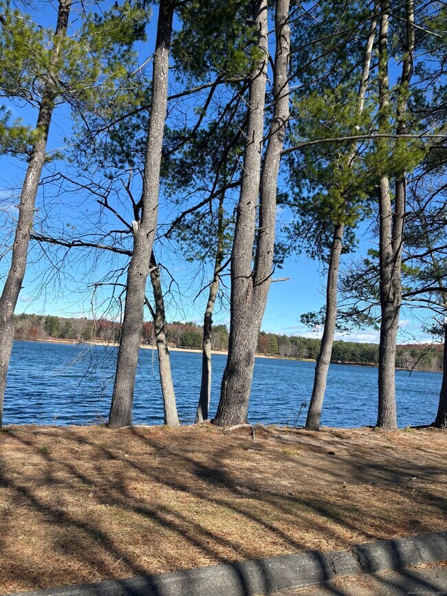 Building Photo - 49 Grandview Dr