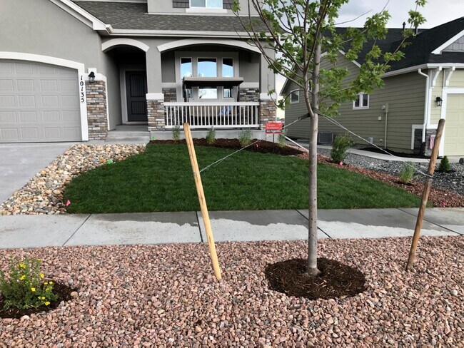 Building Photo - 10135 Thrive Ln