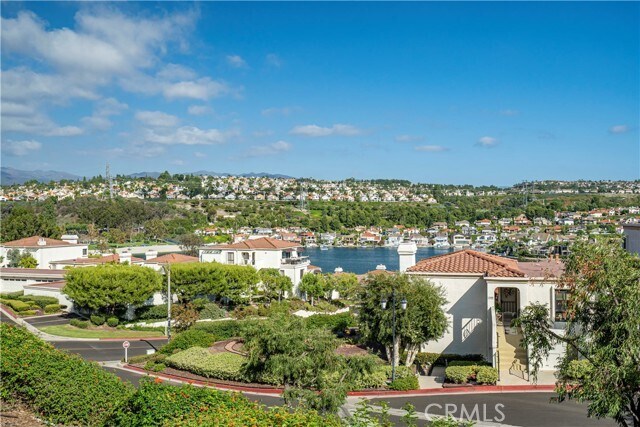 Primary Photo - 22522 Campos
