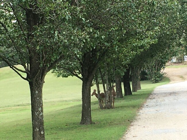 Foto del edificio - 174 Schools Dr