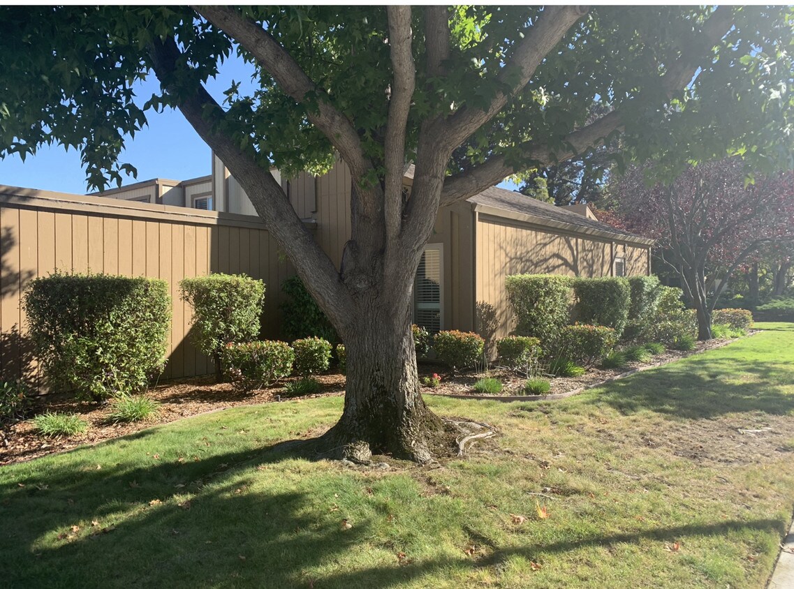 Primary Photo - 3150 Phoenix Ln
