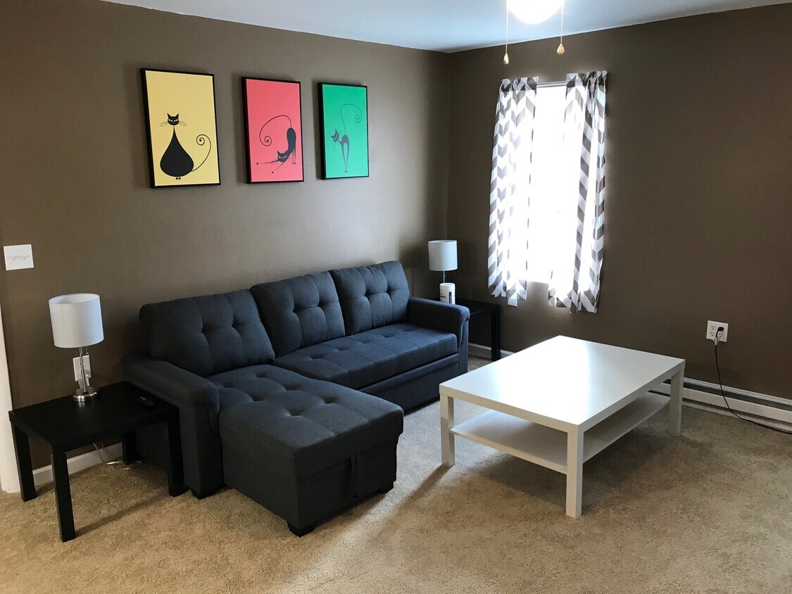 LIVING ROOM - 123 W Broadway